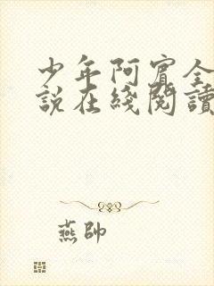 少年阿宾全文小说在线阅读