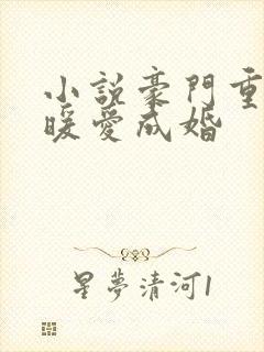 小说豪门重生之暖爱成婚