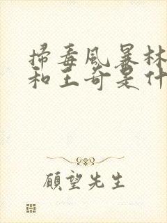 扫毒风暴林强峰和王奇是什么关系