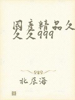 国产精品久久久久久999