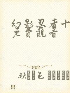 幻影忍者十七季免费观看