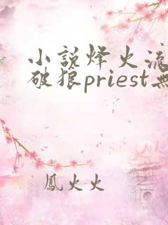 小说烽火流金杀破狼priest无弹窗