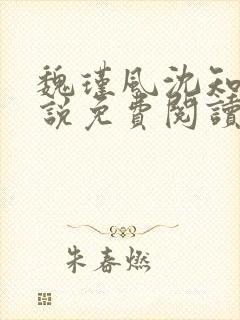 魏瑾风沈知玉小说免费阅读最新章节