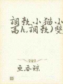 调教小猫小说(高h,调教)双性