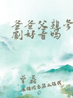 爸爸父亲爹电视剧好看吗