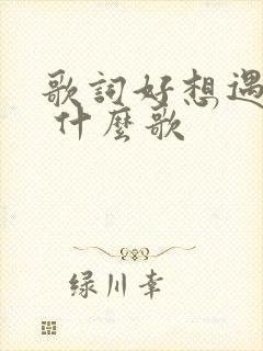 歌词好想遇见你 什么歌