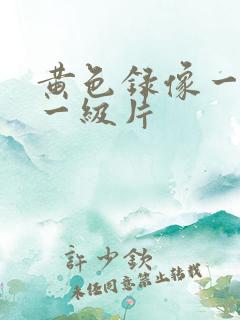 黄色录像一级片一级片