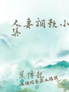 人妻调教小说合集