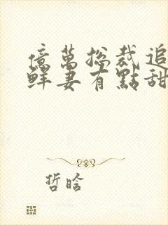 亿万总裁追妻 鲜妻有点甜