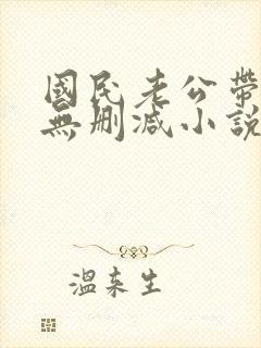 国民老公带回家无删减小说
