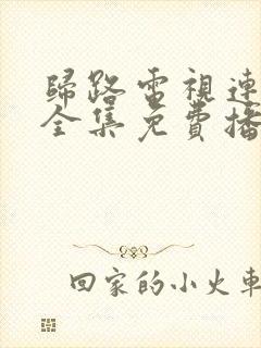 归路电视连续剧全集免费播放