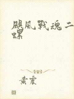 飓风战魂二代陀螺