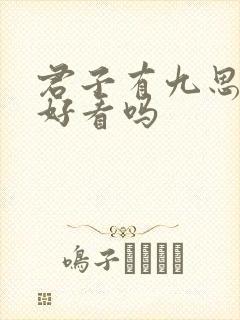 君子有九思小说好看吗