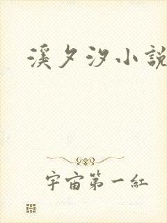 溪夕汐小说全集