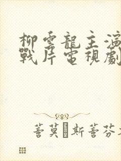 柳云龙主演的谍战片电视剧排行榜