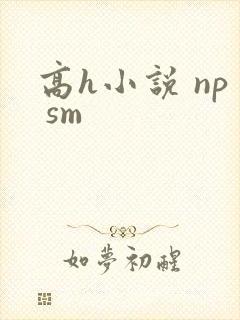 高h小说 np sm