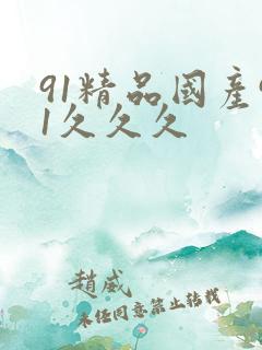 91精品国产91久久久