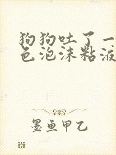 狗狗吐了一滩白色泡沫粘液