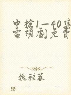 中枪1—40集电视剧免费播放