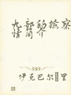 九部的检察官剧情简介