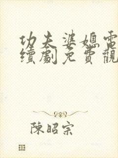 功夫婆媳电视连续剧免费观看