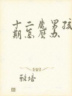 十二岁男孩叛逆期怎么办