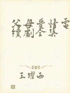 父母爱情电视连续剧全集