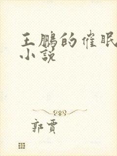 王鹏的催眠眼镜小说