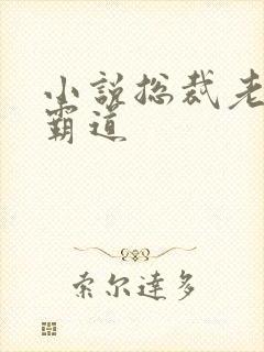 小说总裁老公太霸道