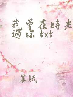 我曾在时光里听过你 txt