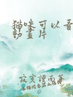 猫咪可以看懂的动画片