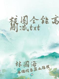 校园全能高手未删减txt