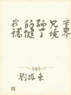 我的师兄实在太稳健了境界划分