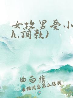 女攻男受小说(h,调教)