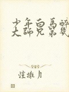 少年白马醉春风大师兄第几集出现的