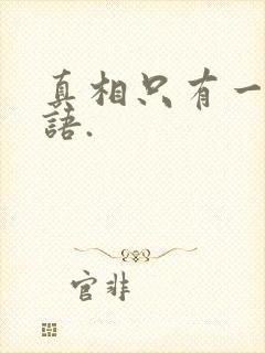 真相只有一个日语.