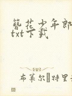 簪花少年郎小说txt下载