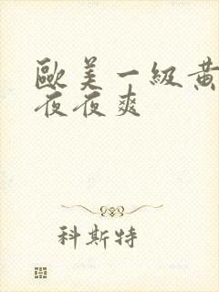 欧美一级黄一片夜夜爽