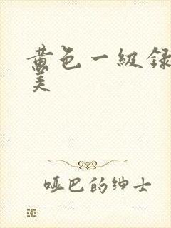 黄色一级录像欧美