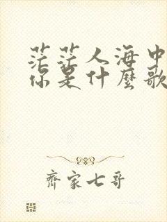 茫茫人海中遇见你是什么歌