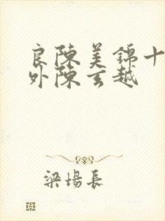 良陈美锦十个番外陈玄越