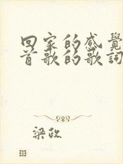 回家的感觉是哪首歌的歌词