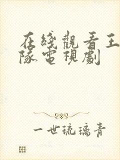 在线观看王牌部队电视剧