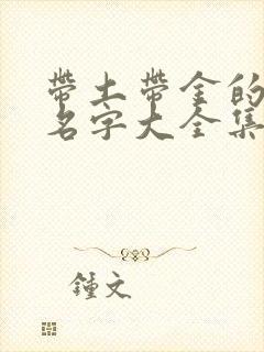 带土带金的男孩名字大全集