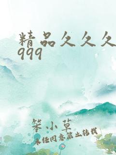 精品久久久国产999