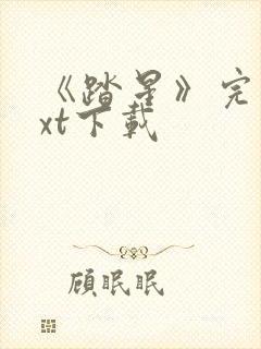 《踏星》完本txt下载