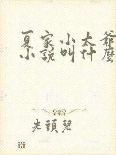 夏家小太爷原著小说叫什么名字