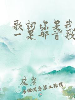 歌词你是我的唯一是哪首歌的歌词