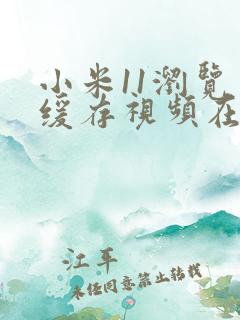 小米11浏览器缓存视频在哪个文件夹