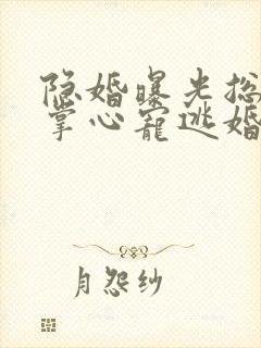 隐婚曝光总裁的掌心宠逃婚了小说